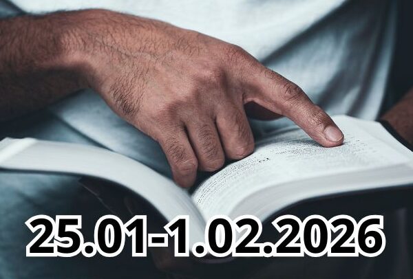 6 13 10 2024 32 e1769802503784 600x406