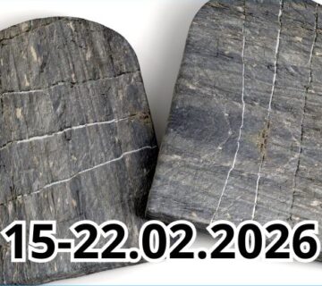 6 13 10 2024 34 e1771316045234 360x320