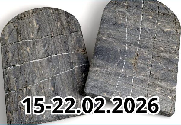 6 13 10 2024 34 e1771316045234 600x414