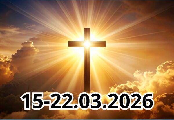 6 13 10 2024 36 e1773742876440 600x415