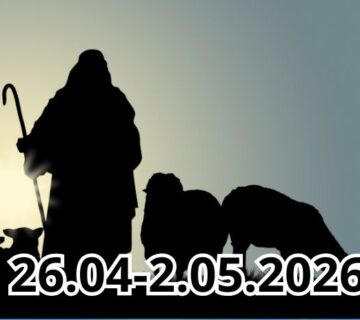 6 13 10 2024 40 e1777131775155 360x320