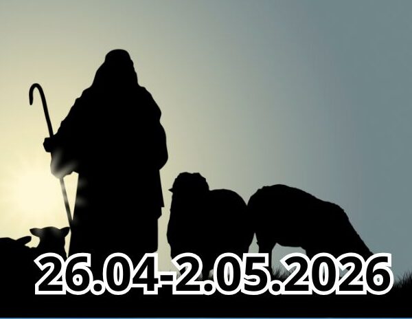 6 13 10 2024 40 e1777131775155 600x464