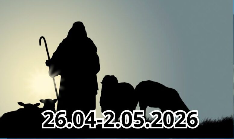 6 13 10 2024 40 e1777131775155